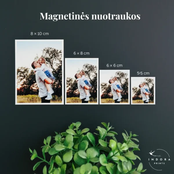Magnetinės nuotraukos - Image 4