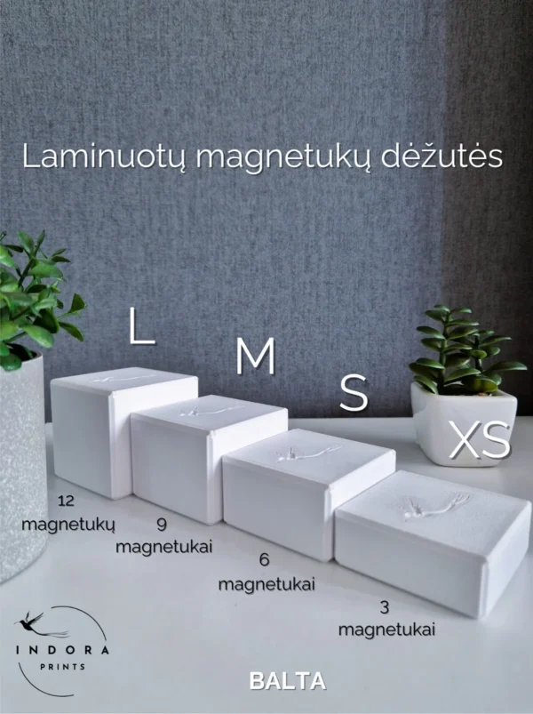 Laminuotų magnetukų dėžutė - Image 5